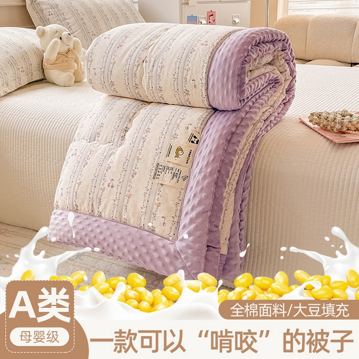 91家纺网 家纺一手货源 找家纺 （总）梦依依 2026新款A类全棉豆豆绒大豆被冬被春秋被豆豆被子被芯