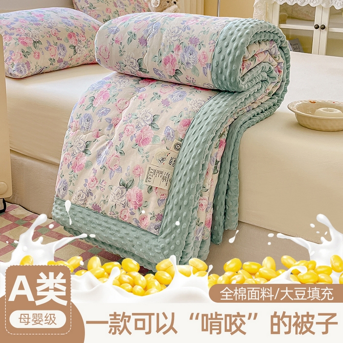 91家纺网 家纺一手货源 找家纺 （总）梦依依 2026新款A类全棉豆豆绒大豆被冬被春秋被豆豆被子被芯