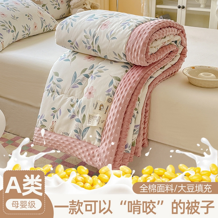 91家纺网 家纺一手货源 找家纺 （总）梦依依 2026新款A类全棉豆豆绒大豆被冬被春秋被豆豆被子被芯