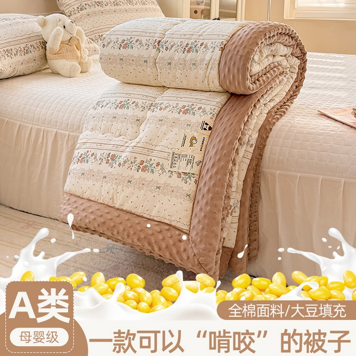 91家纺网 家纺一手货源 找家纺 （总）梦依依 2026新款A类全棉豆豆绒大豆被冬被春秋被豆豆被子被芯