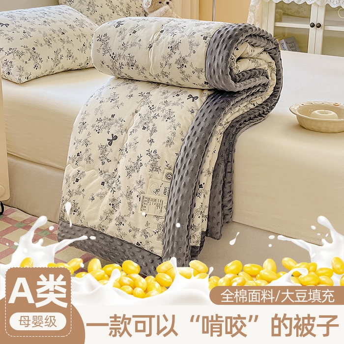 91家纺网 家纺一手货源 找家纺 （总）梦依依 2026新款A类全棉豆豆绒大豆被冬被春秋被豆豆被子被芯