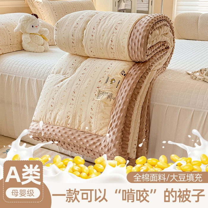 91家纺网 家纺一手货源 找家纺 （总）梦依依 2026新款A类全棉豆豆绒大豆被冬被春秋被豆豆被子被芯