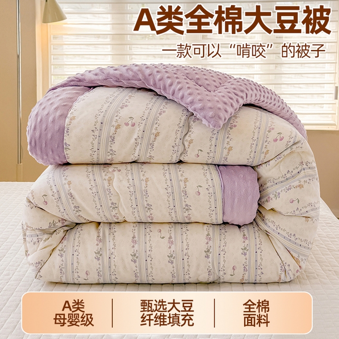 91家纺网 家纺一手货源 找家纺 梦依依 2026新款A类全棉豆豆绒大豆被冬被春秋被豆豆被子被芯 花季时光