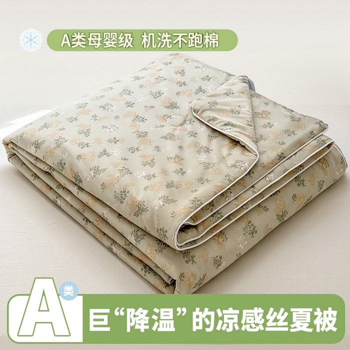雯雨家纺 2026新款A类凉感丝夏被夏凉被空调被 秋韵花影