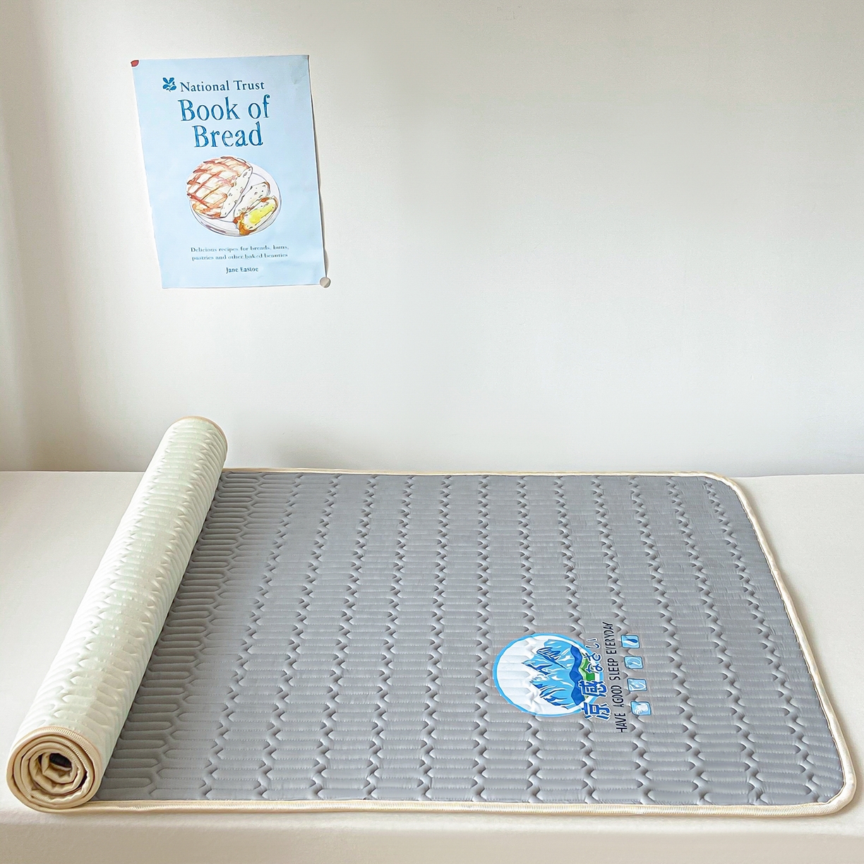 91家纺网 家纺一手货源 找家纺 家品罗兰 2026新款夏季A类乳胶冰丝席纯色冰丝凉席宿舍单人席子软可机洗可折叠床单软垫床垫夏天空调席两三件套 富士山银灰