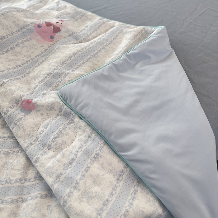 91家纺网 家纺一手货源 找家纺 （总）HL原创 2026新款全棉双层纱小冰皮冰纱双感夏被夏凉被空调被