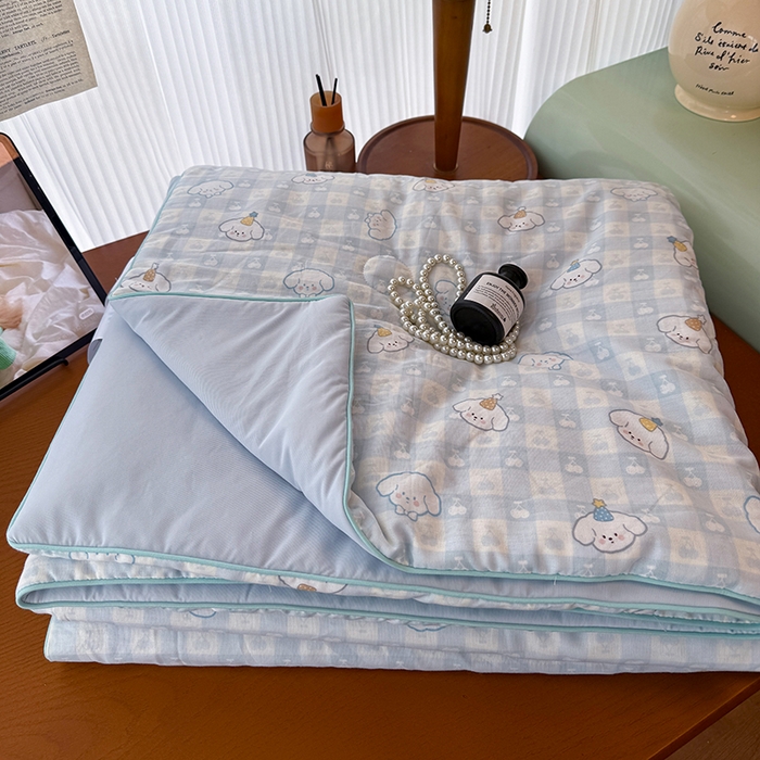 HL原创 2026新款全棉双层纱小冰皮冰纱双感夏被夏凉被空调被 清爽夏日