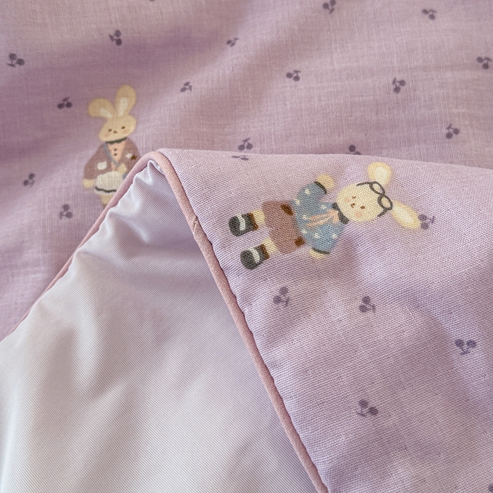 91家纺网 家纺一手货源 找家纺 HL原创 2026新款全棉双层纱小冰皮冰纱双感夏被夏凉被空调被 艾莎