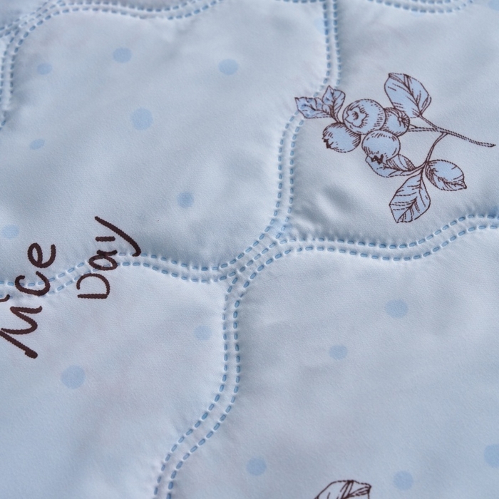 91家纺网 家纺一手货源 找家纺 坦客毯业 2026新款超声波夏凉被印花水洗棉夏被供货批发赠品礼品被便宜夏被 蓝梦