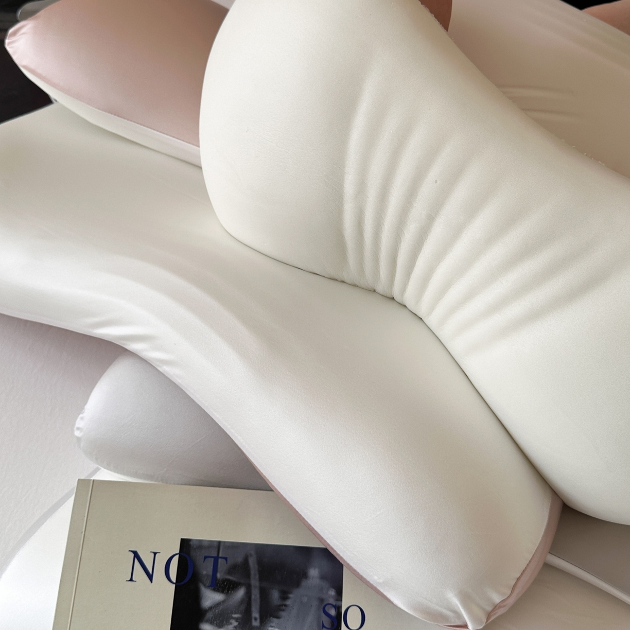 91家纺网 家纺一手货源 找家纺 （总）伟邦枕芯 2026新款鲸鱼美睡记忆枕枕头枕芯