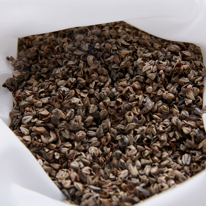 91家纺网 家纺一手货源 找家纺 （总）仁宇枕业 2026新款新品爆款全棉针织卡通儿童学生幼儿园枕芯全荞麦枕头枕芯