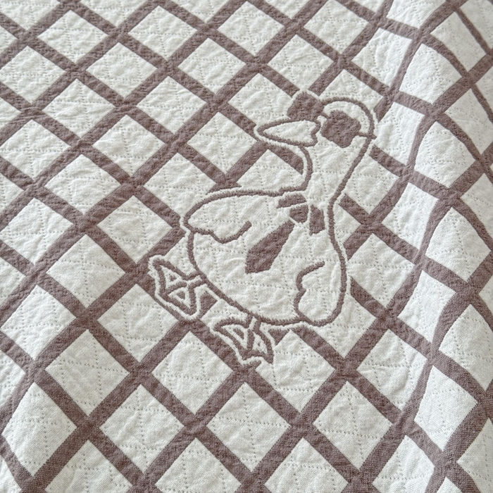 91家纺网 家纺一手货源 找家纺 乐家毛巾被（工厂自产自销） 2026新款精梳安心棉色织提花床盖毛巾被两用 墨镜鸭床盖