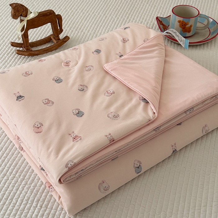 91家纺网 家纺一手货源 找家纺 （总）HL原创 2026春夏新款双面小冰皮夏被夏凉被空调被