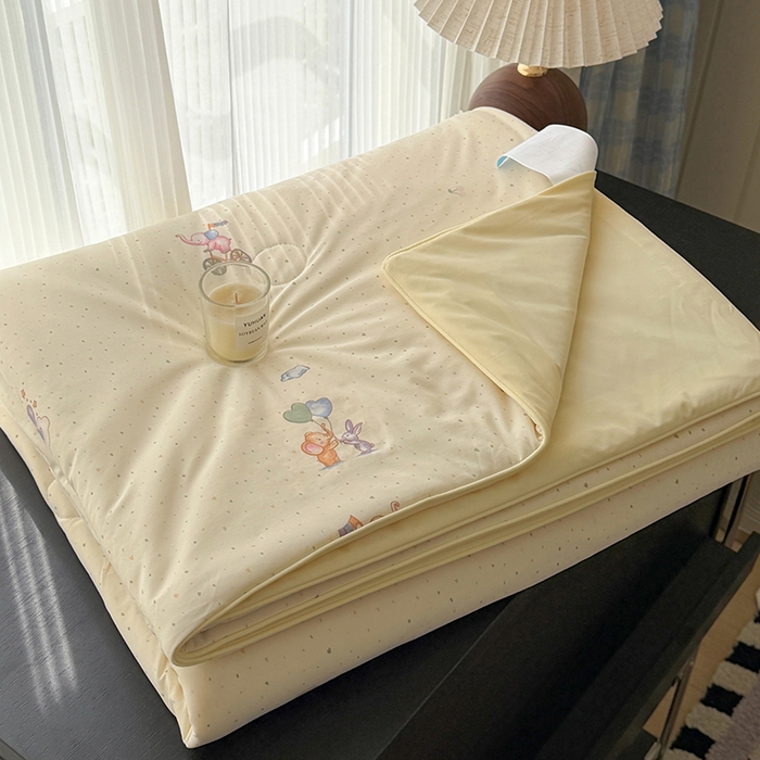 HL原创 2026春夏新款双面小冰皮夏被夏凉被空调被 晚安