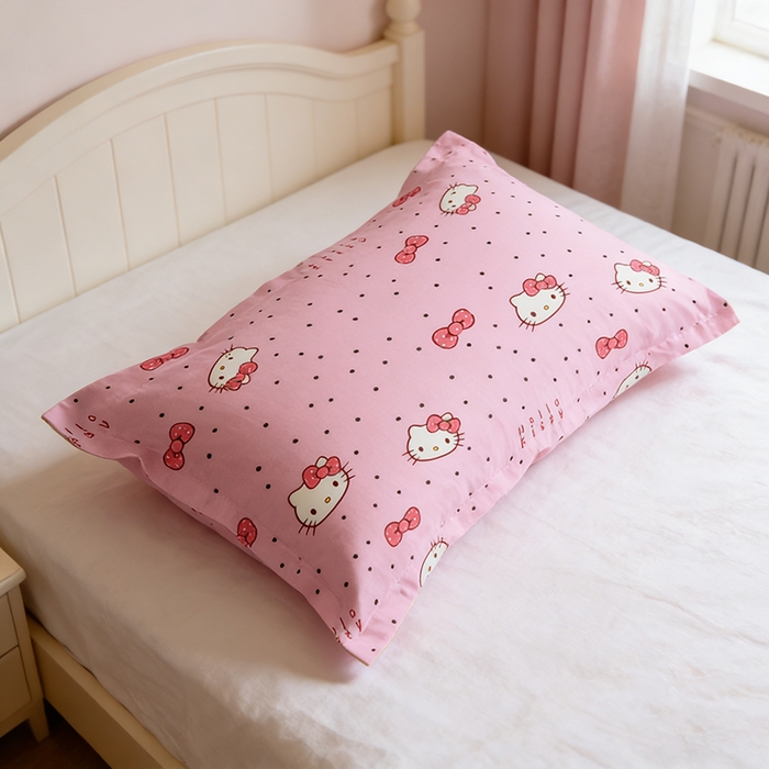 91家纺网 家纺一手货源 找家纺 （总）一电 2026新款跨境电商卡通学生枕头套枕套48x74cm单只件一对装儿童男孩枕皮子 5.磨毛枕套