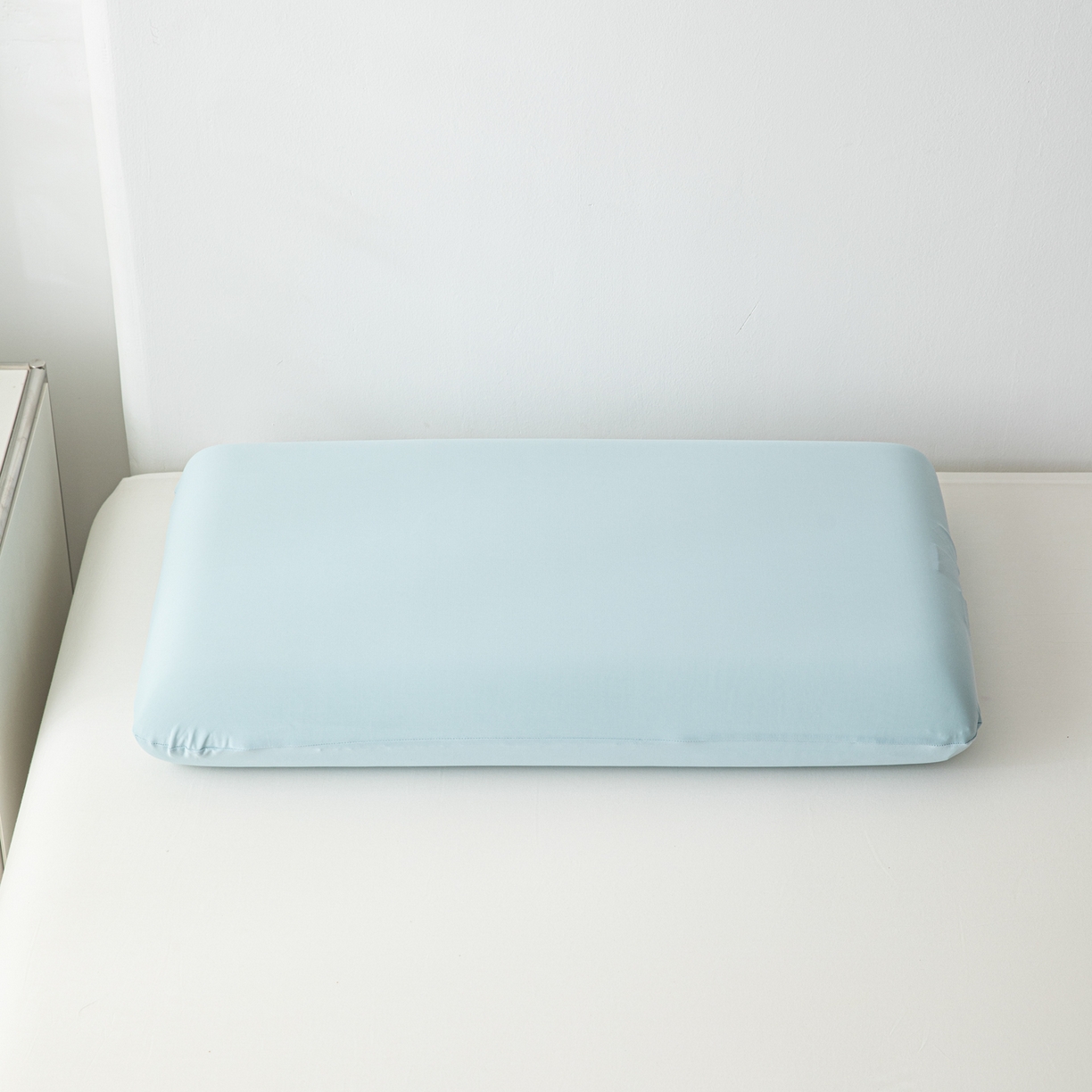 91家纺网 家纺一手货源 找家纺 慕尚家纺 2026新款锦纶小冰皮单枕套枕套单件 天空蓝