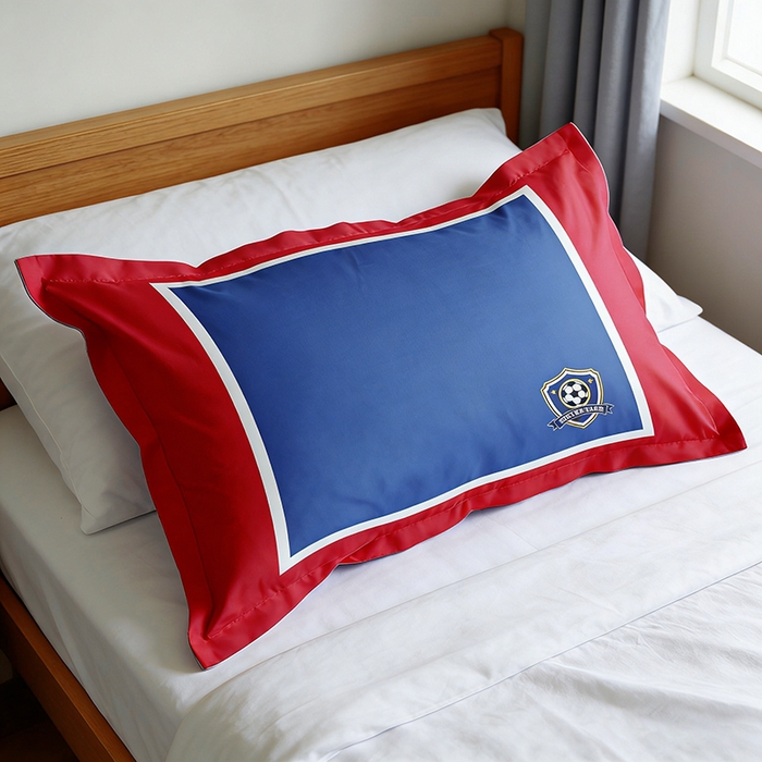 91家纺网 家纺一手货源 找家纺 （总）一电 2026新款跨境电商卡通学生枕头套枕套48x74cm单只件一对装儿童男孩枕皮子 9.磨毛枕套