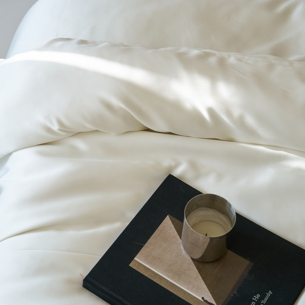 91家纺网 家纺一手货源 找家纺 简纯主义 2026新款100S超细旦进口兰精天丝单被套被套单件 杏仁白