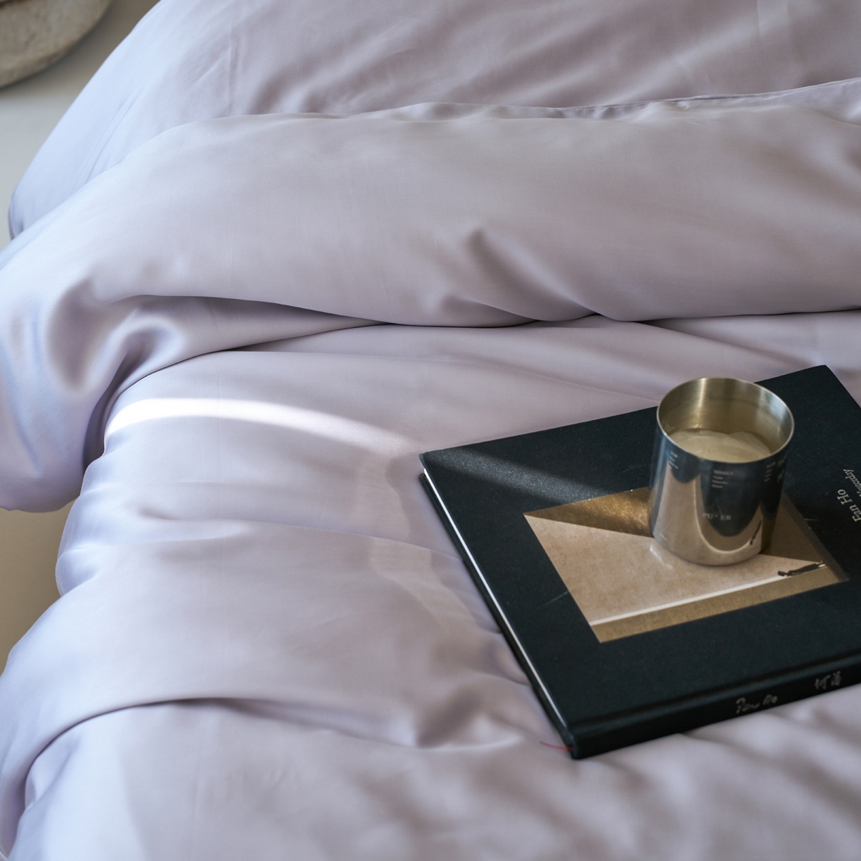 91家纺网 家纺一手货源 找家纺 简纯主义 2026新款100S超细旦进口兰精天丝单被套被套单件 紫砂灰