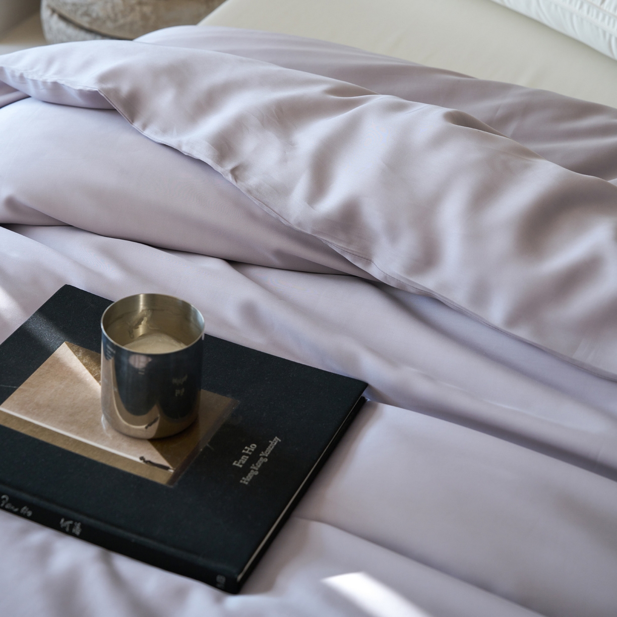 91家纺网 家纺一手货源 找家纺 简纯主义 2026新款100S超细旦进口兰精天丝单被套被套单件 紫砂灰