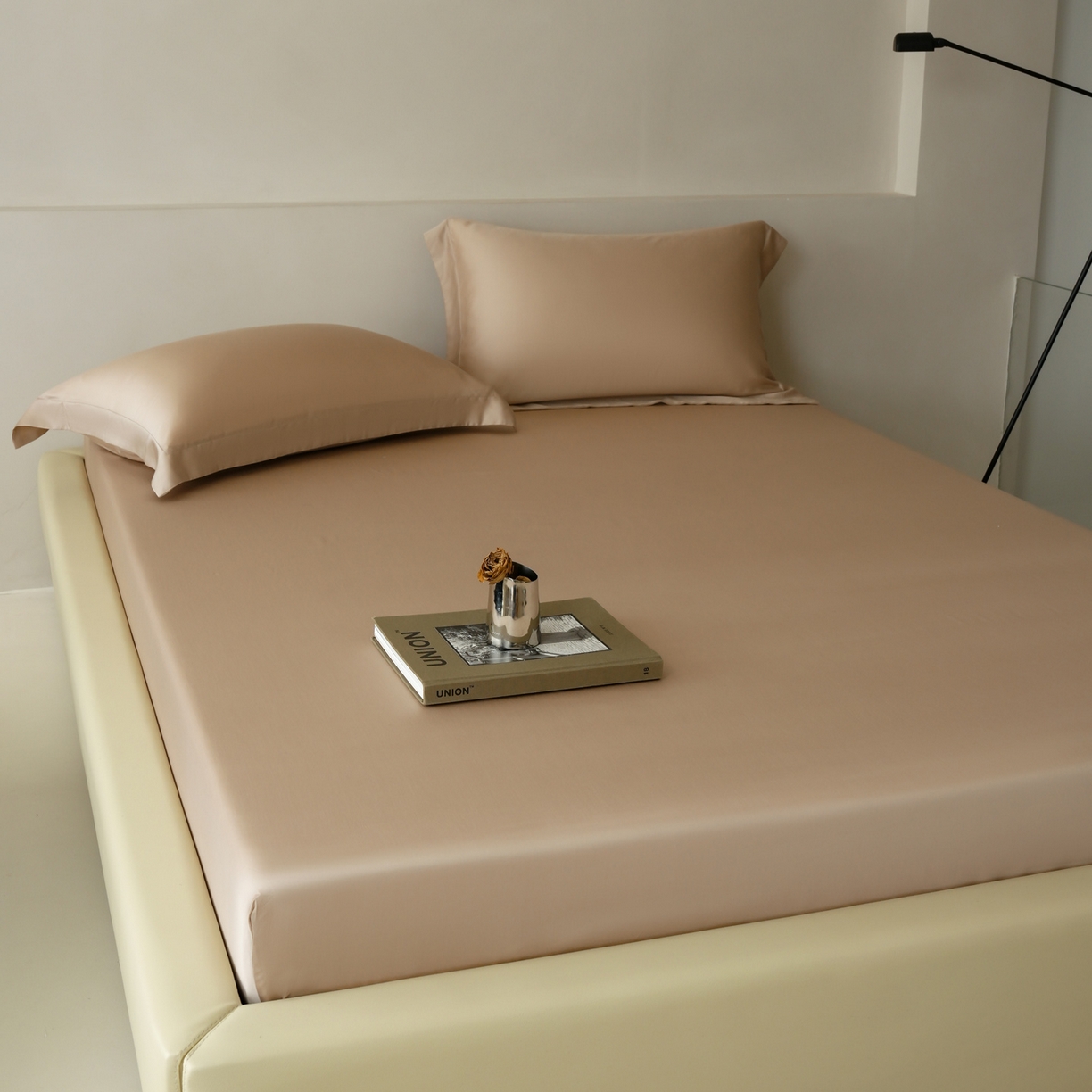 简纯主义 2026新款100S超细旦进口兰精天丝单床笠床笠单件 新雅棕