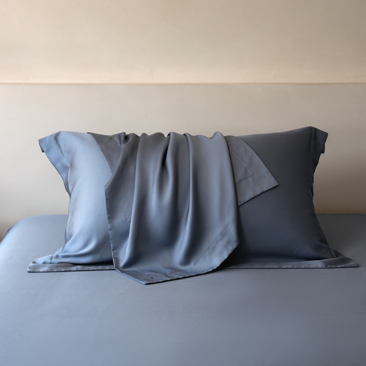 简纯主义 2026新款100S超细旦进口兰精天丝单枕套枕套单件 太妃灰