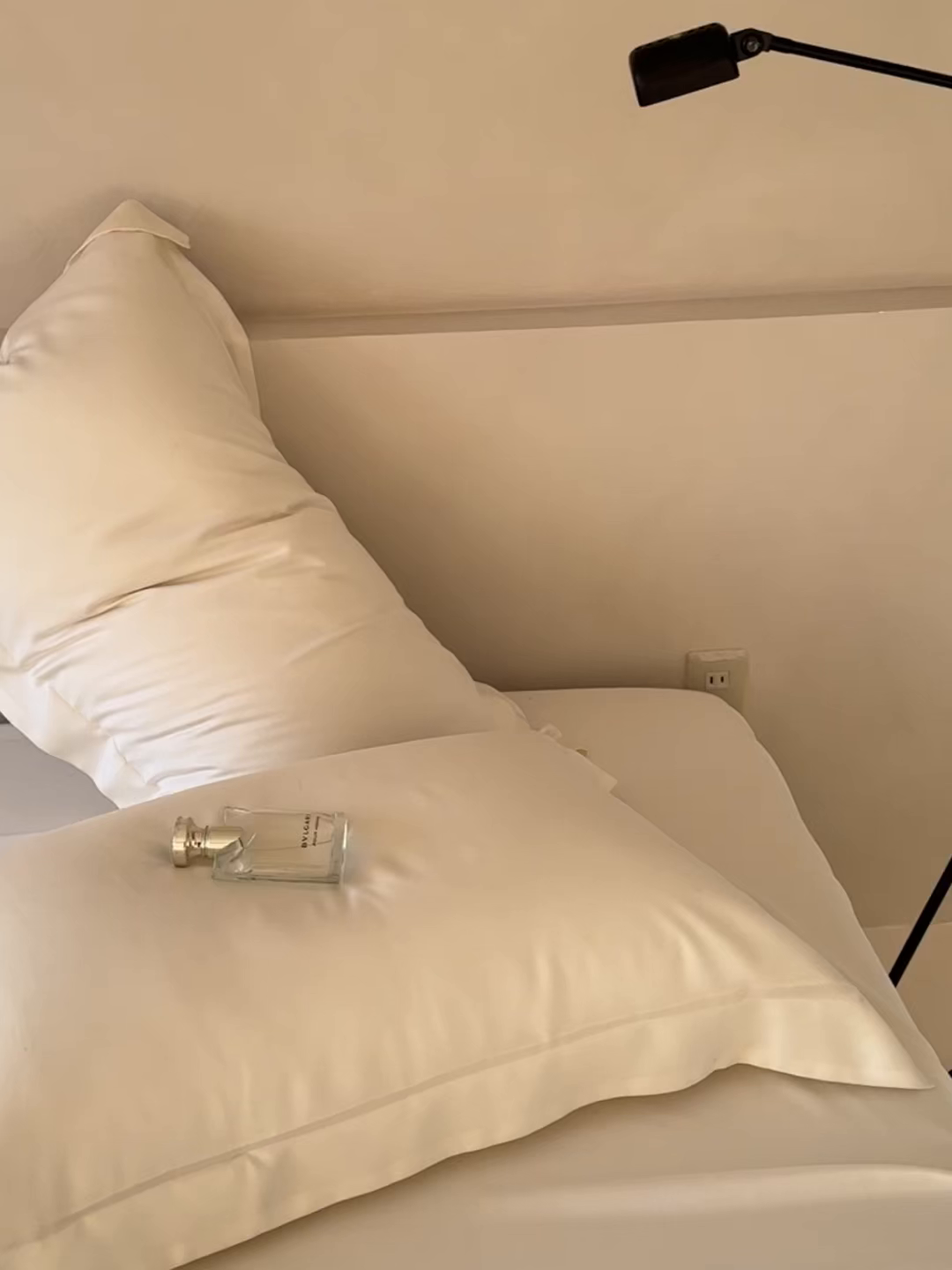 91家纺网 家纺一手货源 找家纺 简纯主义 2026新款100S超细旦进口兰精天丝单枕套枕套单件 杏仁白