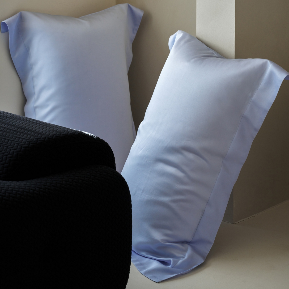 91家纺网 家纺一手货源 找家纺 简纯主义 2026新款100S超细旦进口兰精天丝单枕套枕套单件 云醉了