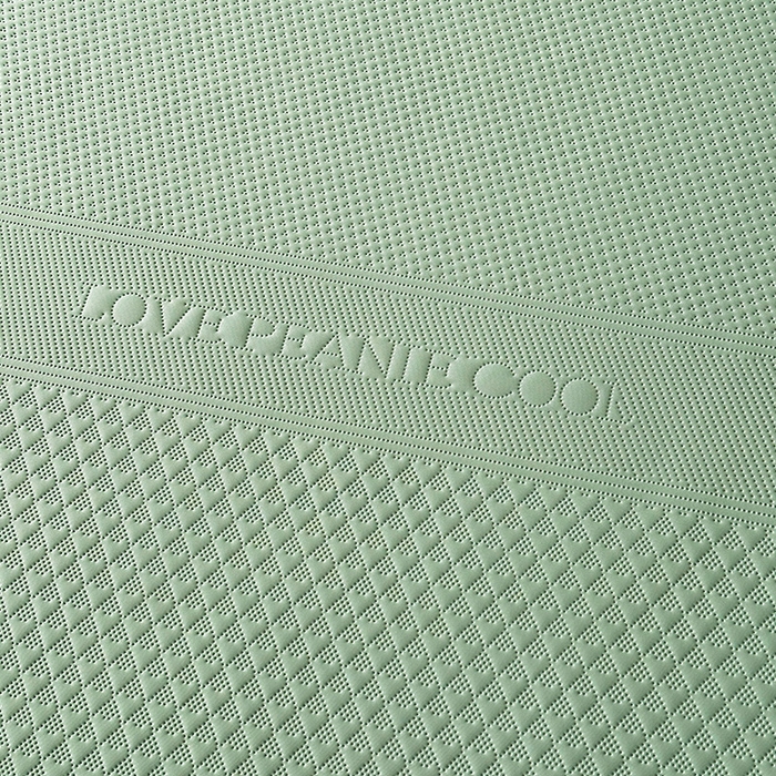 91家纺网 家纺一手货源 找家纺 乐家欣 2026新款凉感冰丝床席床笠四件套 冰丝床席款-松绿