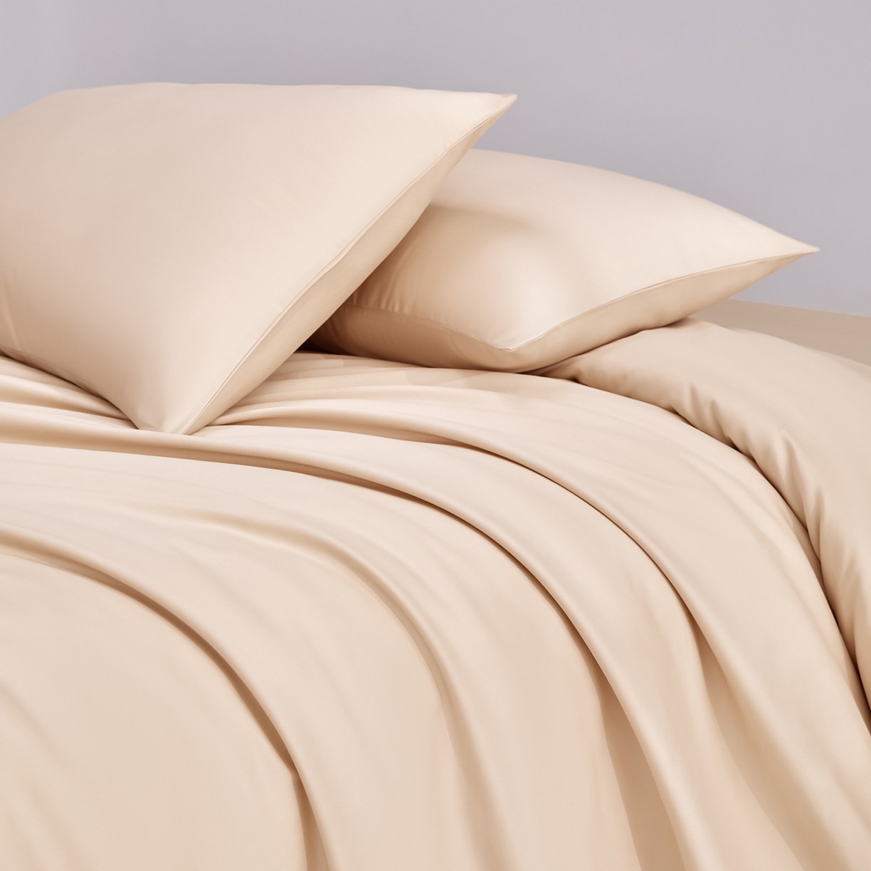 91家纺网 家纺一手货源 找家纺 合欢（原天一阁） 2026新款50s双股长绒棉全棉纯棉纯色四件套 香槟金