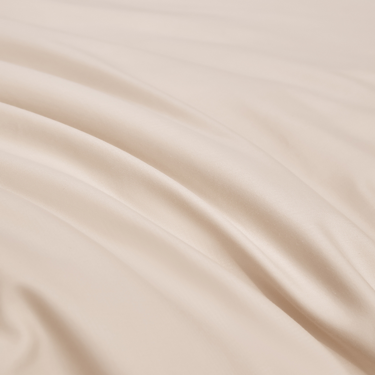 91家纺网 家纺一手货源 找家纺 合欢（原天一阁） 2026新款50s双股长绒棉全棉纯棉纯色四件套 香槟金