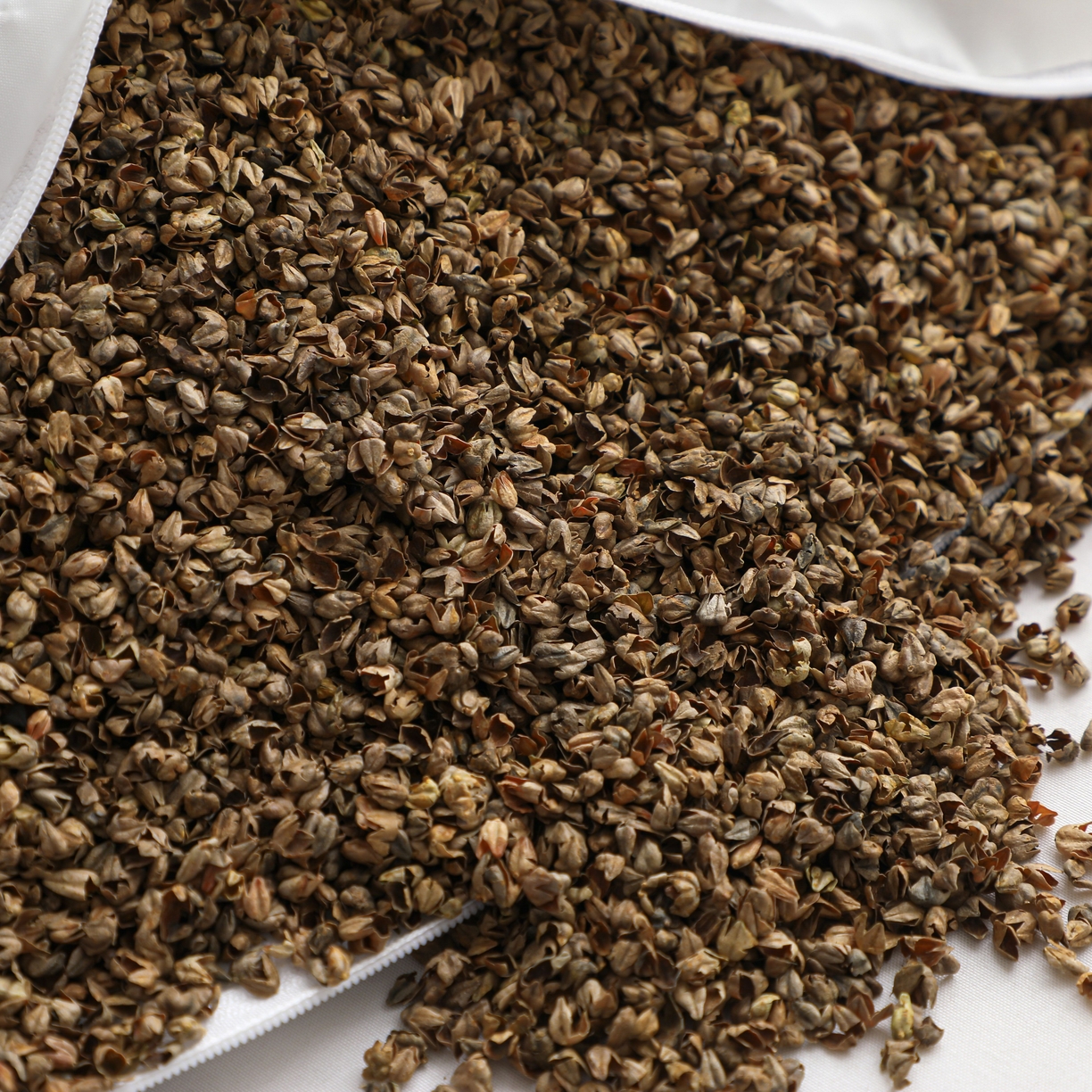 91家纺网 家纺一手货源 找家纺 芯洲 2026春夏新款卡通小马造型可爱抱枕荞麦枕枕头枕芯 吉祥小马-青