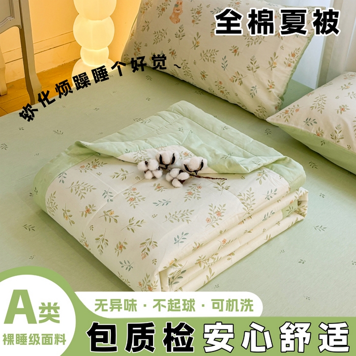 羽梦家纺 2026新款新疆棉花全棉夏凉被被子被芯丽都倩影