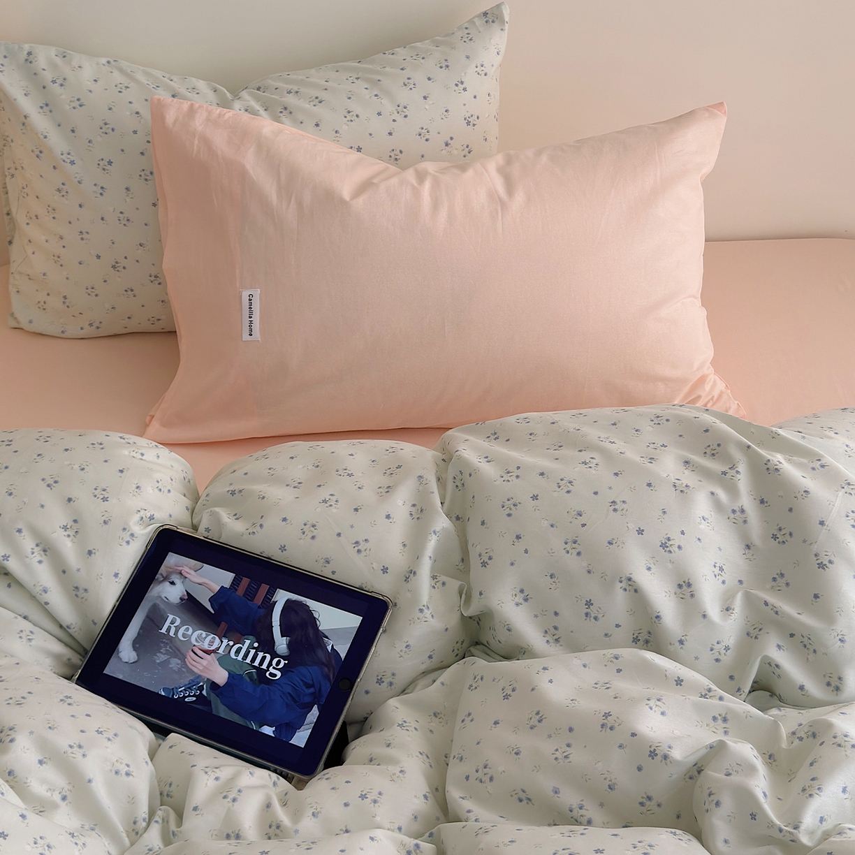 91家纺网 家纺一手货源 找家纺 山茶家居-原创设计 2026新款全棉碎花系列四件套-曼岛 曼岛-奶绿