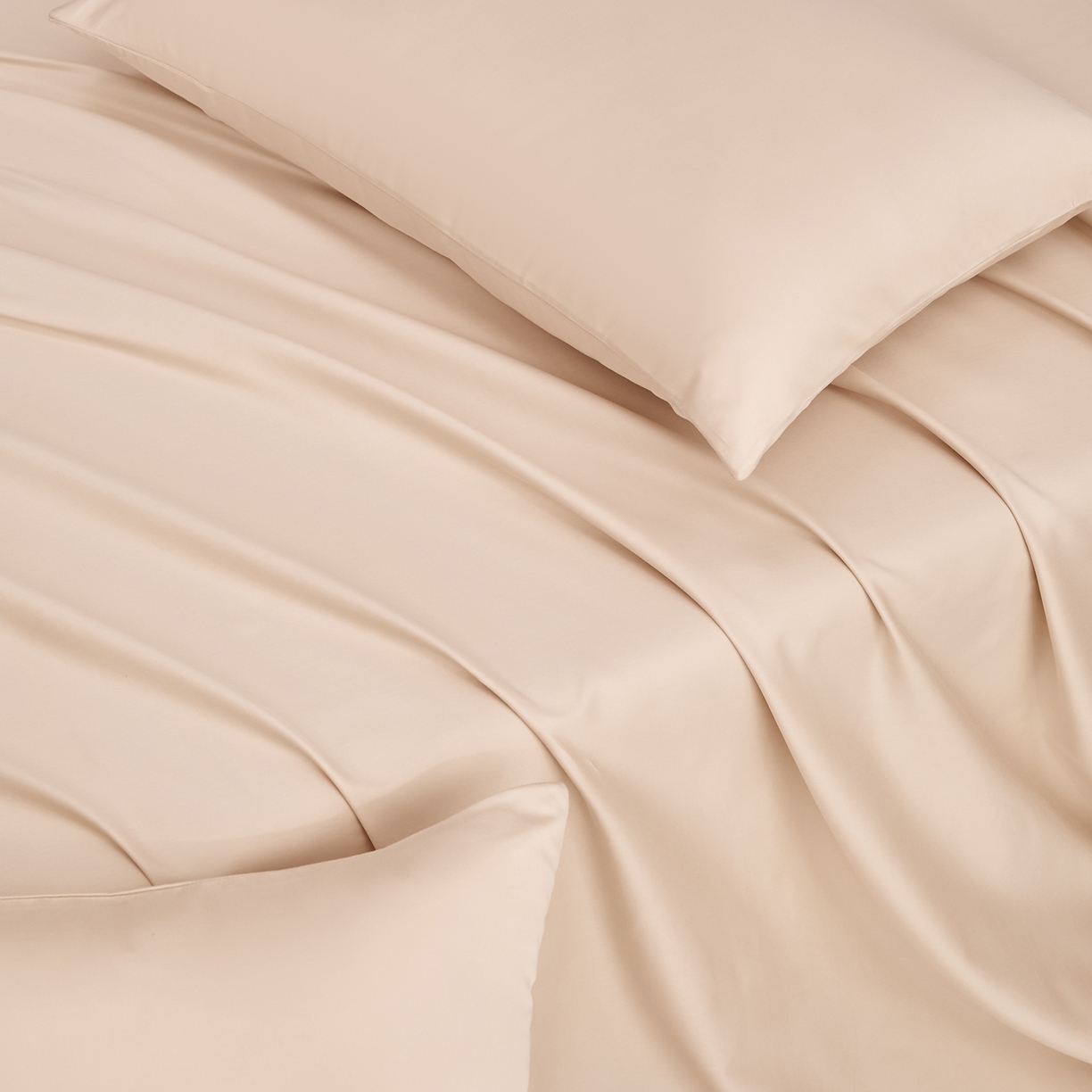 91家纺网 家纺一手货源 找家纺 合欢（原天一阁） 2026新款50s双股长绒棉全棉纯棉床单三件套 香槟金