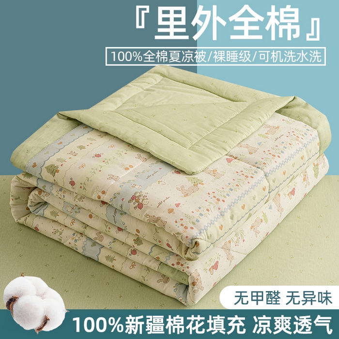 （总）棉森家纺 2026春夏新款全棉纯棉棉花夏被夏凉被空调被-风格三