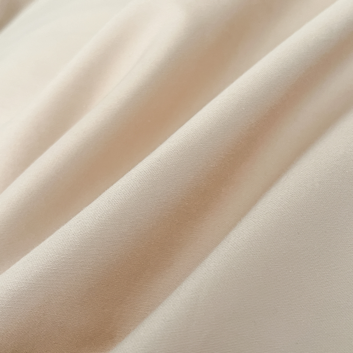 91家纺网 家纺一手货源 找家纺 新方向 【控价 提供买家秀】2026新款刺绣50s双股全棉贡缎长绒棉四件套-茶花开了（控价 标准328元 加大348元） 茶花开了-香槟