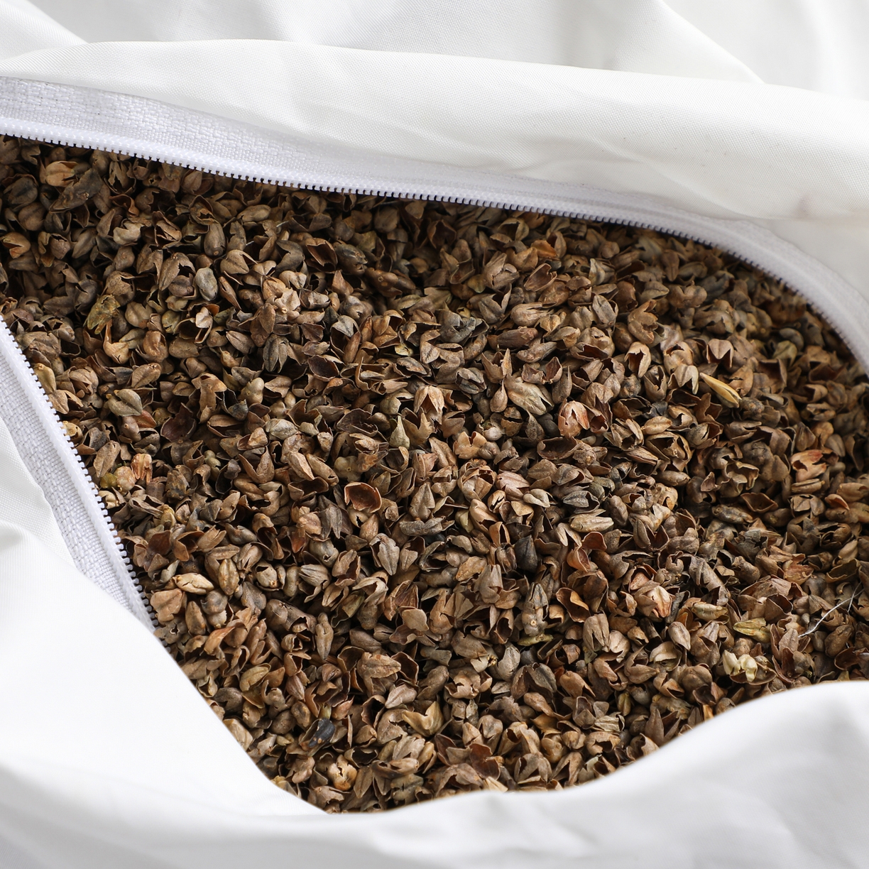 91家纺网 家纺一手货源 找家纺 芯洲 2026新款全棉荞麦枕枕头枕芯-小乌龟 小乌龟-咖（背部拼色随机）