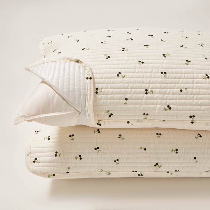 91家纺网 家纺一手货源 找家纺 永旺家纺 2026新款全棉亲肤防水枕巾防水隔脏 樱桃奶绿-黑