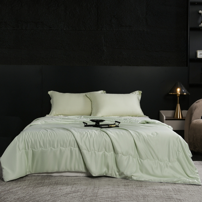 枕星记忆枕 2026新款水洗真丝夏被 水洗真丝浅绿