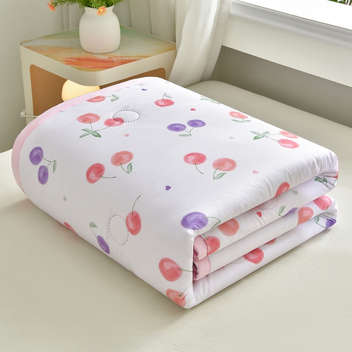 念家居 2026新款水洗棉夏被夏凉被空调被直播爆款 粉梦樱桃