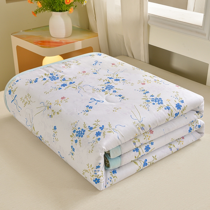 念家居 2026新款水洗棉夏被夏凉被空调被直播爆款 浅蓝花絮