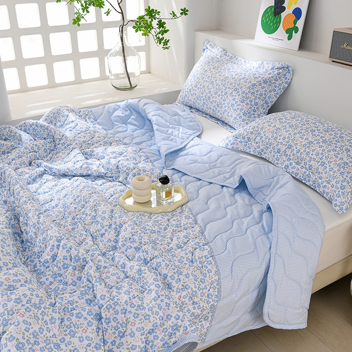 （总）圣靓家纺 2026新款清柔水洗夏被被子被芯