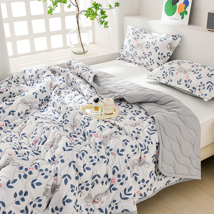 圣靓家纺 2026新款清柔水洗夏被被子被芯 妮露