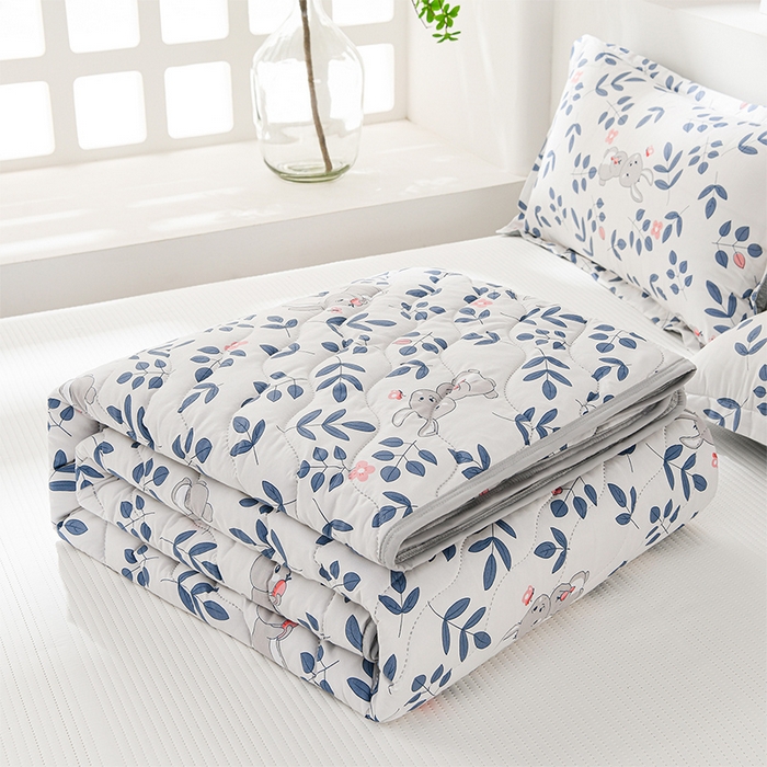 圣楚家纺 2026新款清柔水洗夏被被子被芯 妮露