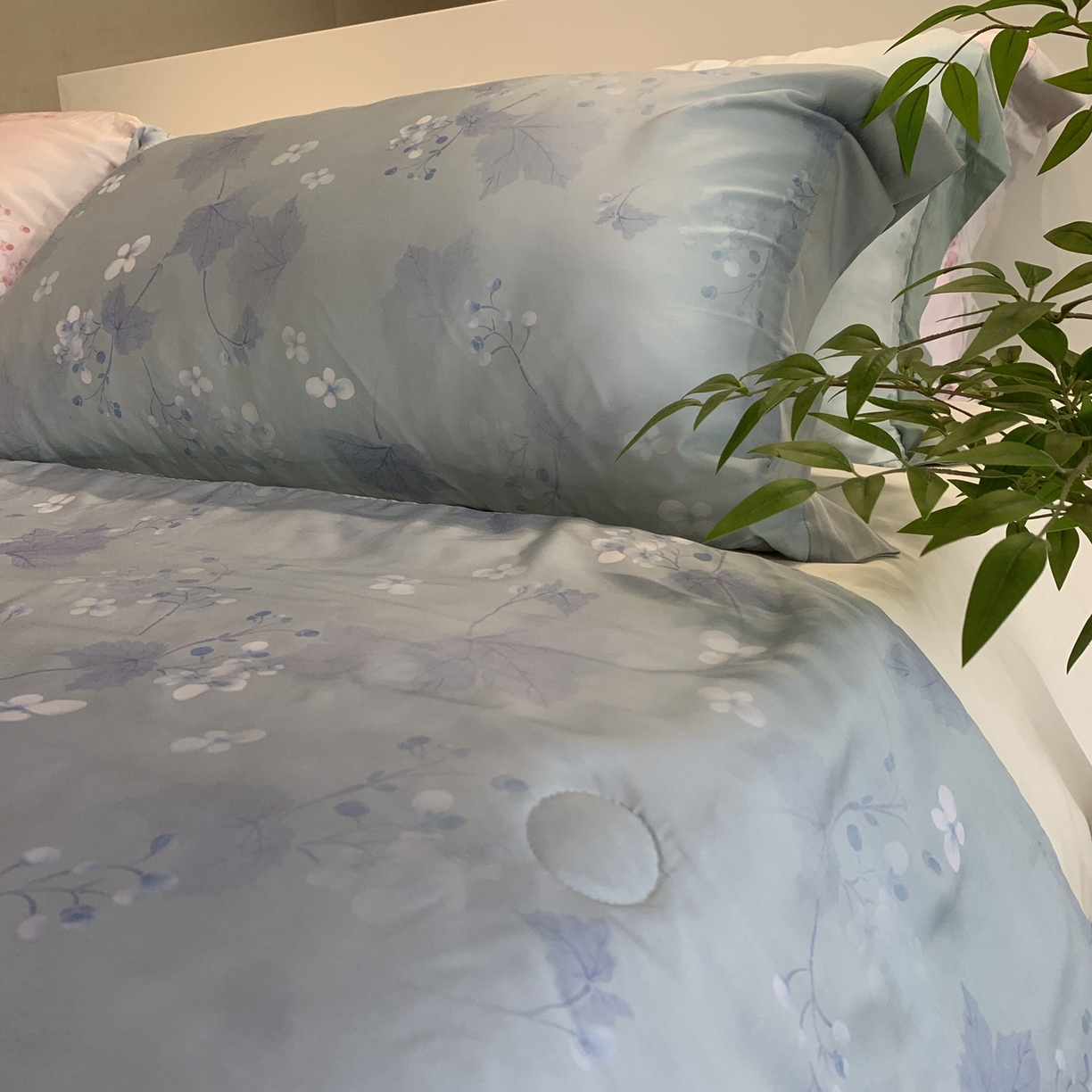 91家纺网 家纺一手货源 找家纺 ROZ home 蕊姿家居 2026新款天丝棉夏被夏凉被空调被 秋海棠-绿