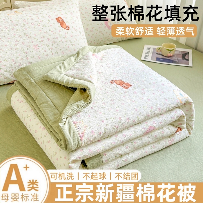 爱屋及屋 2026春夏新款小清新双层纱宽包边棉花夏被夏凉被空调被 治愈小猫