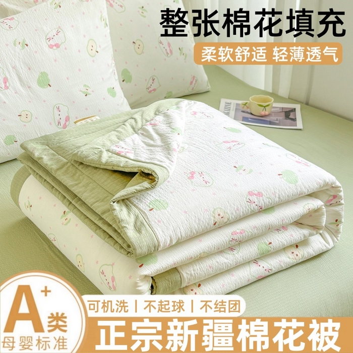 爱屋及屋 2026春夏新款小清新双层纱宽包边棉花夏被夏凉被空调被 苹果猫