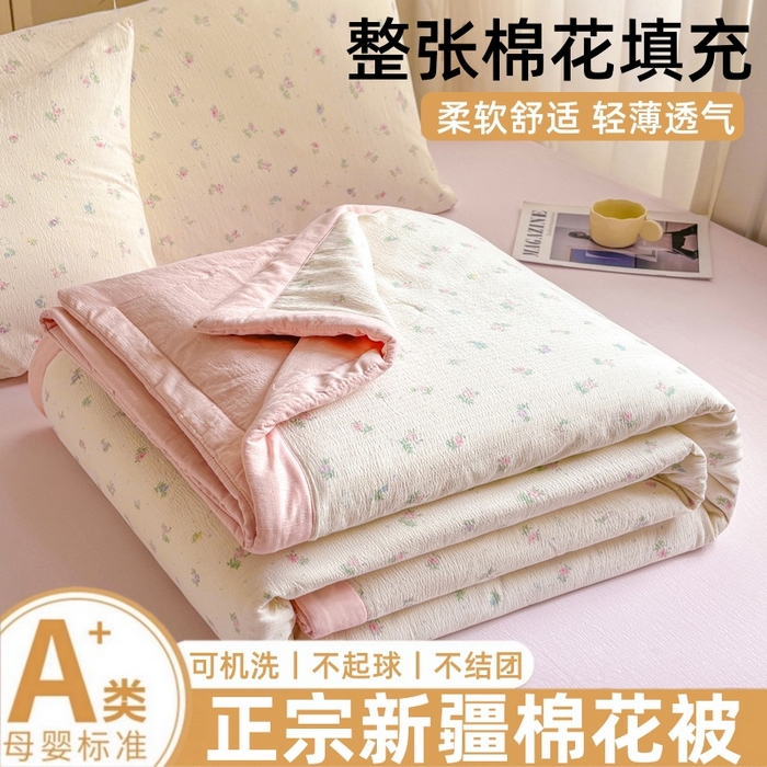 爱屋及屋 2026春夏新款小清新双层纱宽包边棉花夏被夏凉被空调被 花影