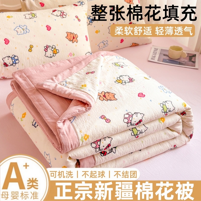 爱屋及屋 2026春夏新款小清新双层纱宽包边棉花夏被夏凉被空调被 像素KT